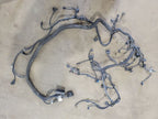 SPRINTV25 2020 Engine Wire Harness 672107
