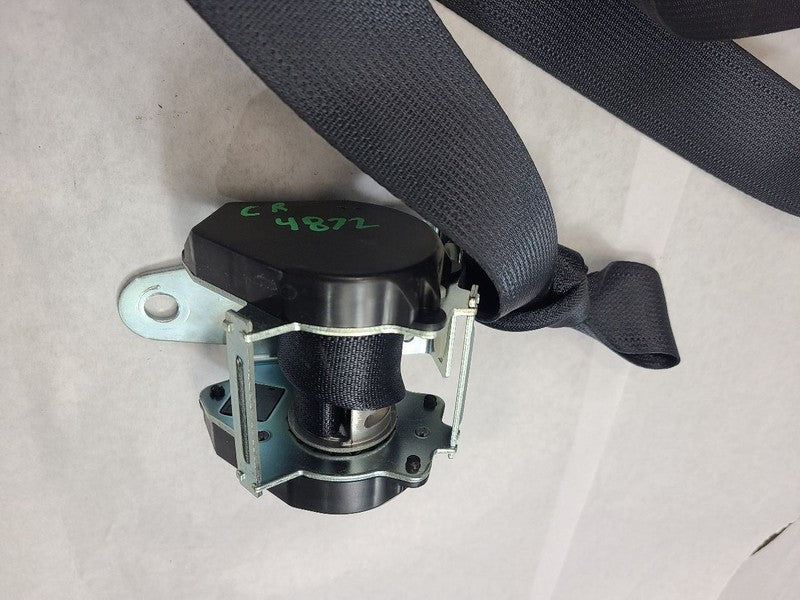 OUTLAN SP 2017 Seat Belt Rear 611141