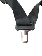 CHARGER   2019 Seat Belt Rear 592074