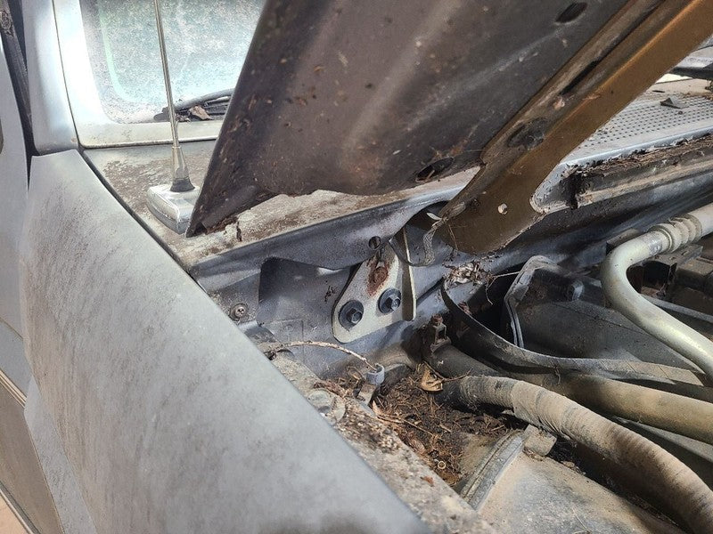 BRONCO    1992 Cowl 648848