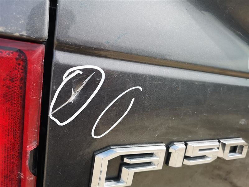 Trunk/Hatch/Tailgate Without Tailgate Step Fits 15-17 FORD F150 PICKUP
