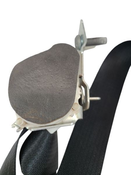 EXPEDITON 2017 Seat Belt Rear 599547