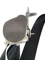 EXPEDITON 2017 Seat Belt Rear 599547