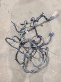 SIERDEN15 2014 Lamp Wiring Harness 625680