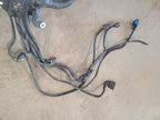 COUNTRYMA 2019 Engine Wire Harness 674748