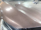 Hood Fits 15-19 LEGACY 666361