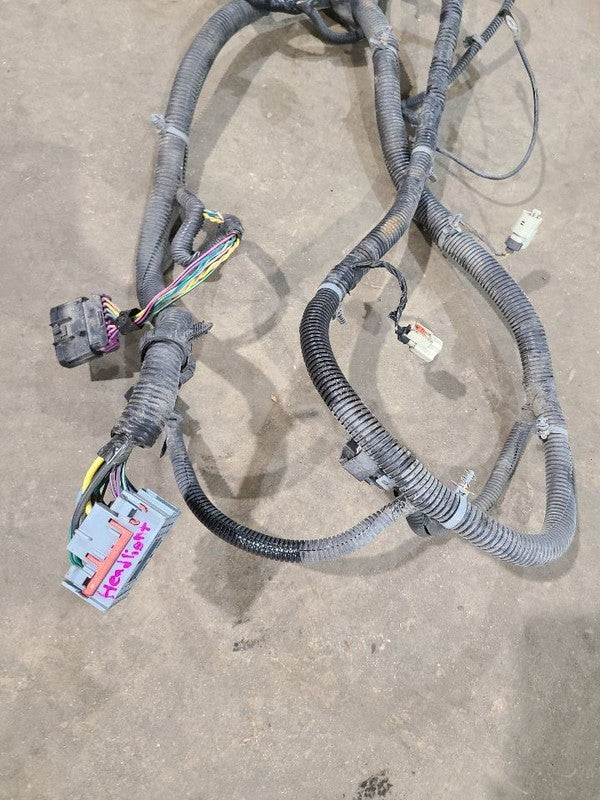 SIEDENALI 2010 Lamp Wiring Harness 613215