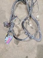SIEDENALI 2010 Lamp Wiring Harness 613215