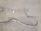F150      2018 Lamp Wiring Harness 673910