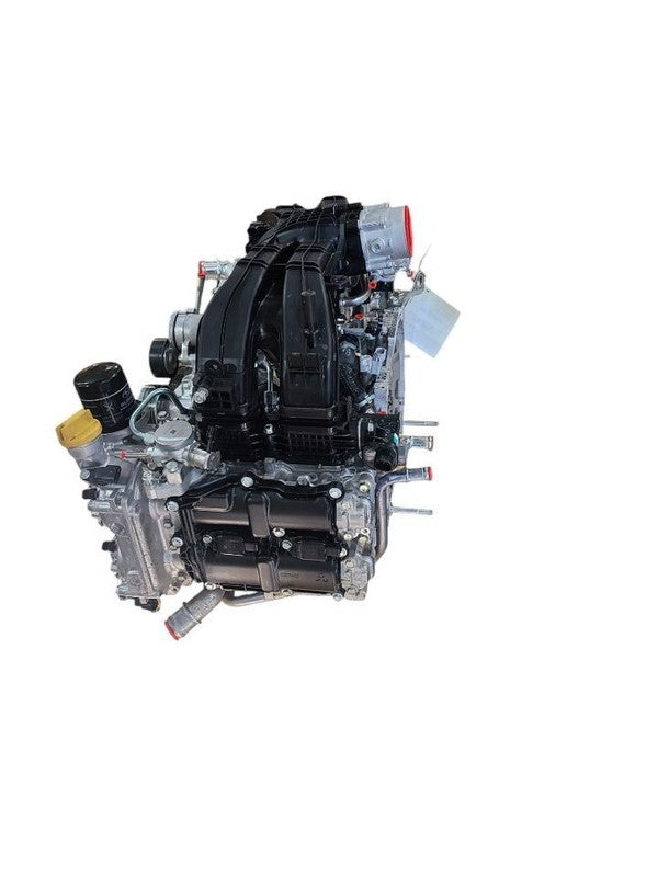 OUTBAKLEG 2024 Engine 608506