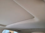 RX350     2013 Headliner 670202