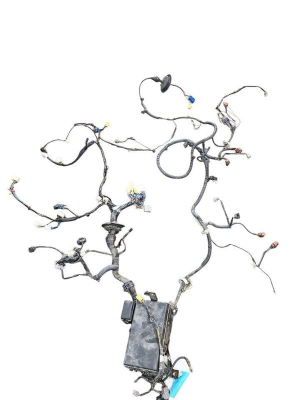 4 RUNNER  2003 Lamp Wiring Harness 641686
