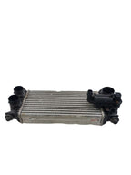 Intercooler Fits 18-25 EXPEDITION 625364