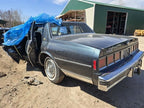 CAPRICE   1985 Seat Belt Rear 580652