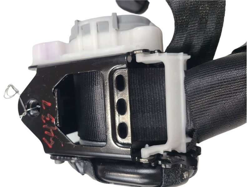 MACAN     2015 Seat Belt Rear 661461