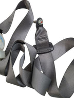 ACCORD    2010 Seat Belt Rear 617963
