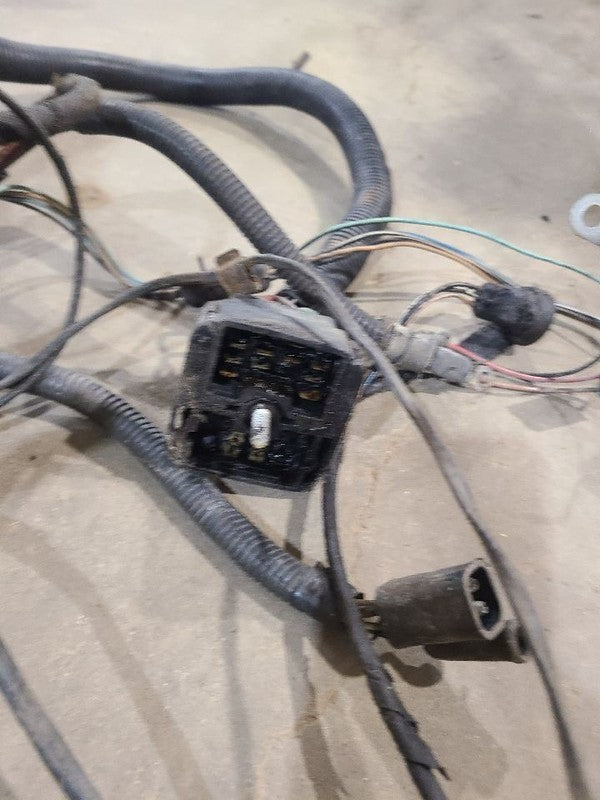 PACER     1976 Engine Wire Harness 661331