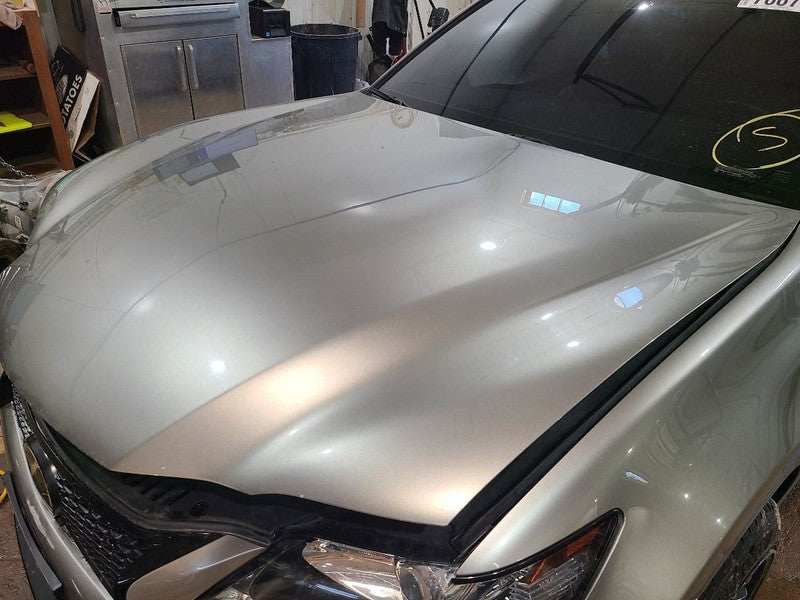 Hood Fits 13-20 LEXUS GS350 665305