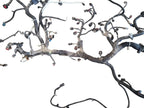 SILVRDO15 2021 Engine Wire Harness 641359
