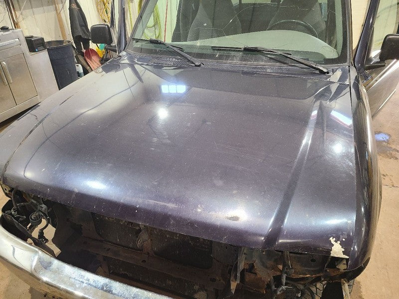 Hood Fits 98-10 MAZDA B-4000 665448