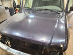 Hood Fits 98-10 MAZDA B-4000 665448