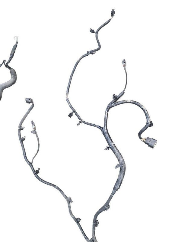 RAM3500   2020 Lamp Wiring Harness 641255