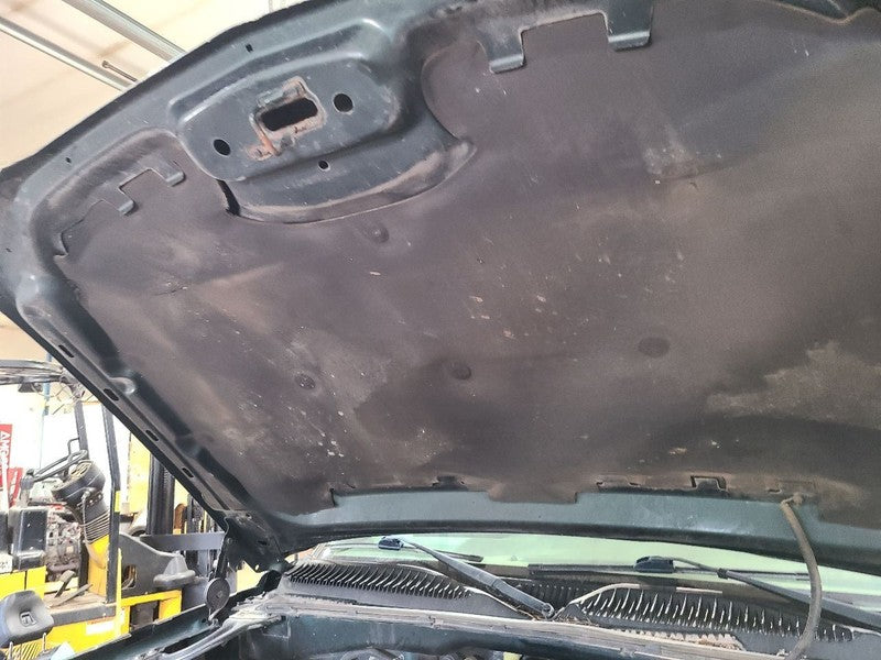 Hood Without Body Cladding Fits 03-06 AVALANCHE 1500 672302