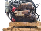 Engine 3.7L VIN K 8th Digit Fits 04 DAKOTA 660150