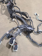 QX60      2016 Engine Wire Harness 659891