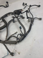 OUTBAKLEG 2018 Engine Wire Harness 651568