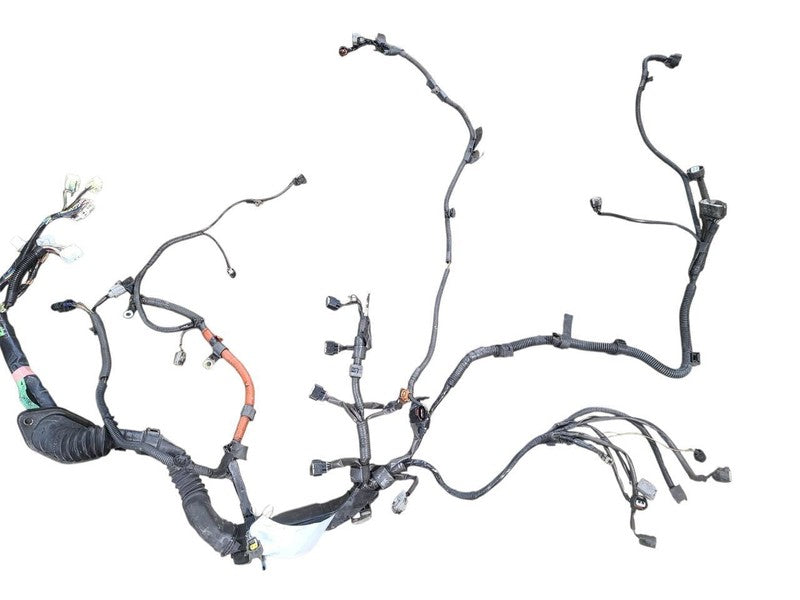 TACOMA    2002 Engine Wire Harness 635439