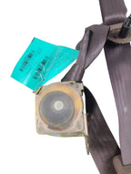 TUNDRA    2002 Seat Belt Rear 657746