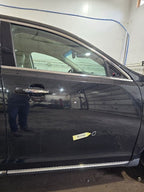 Passenger Front Door Electric Lower Side Moulding Fits 09-16 MKS 63045