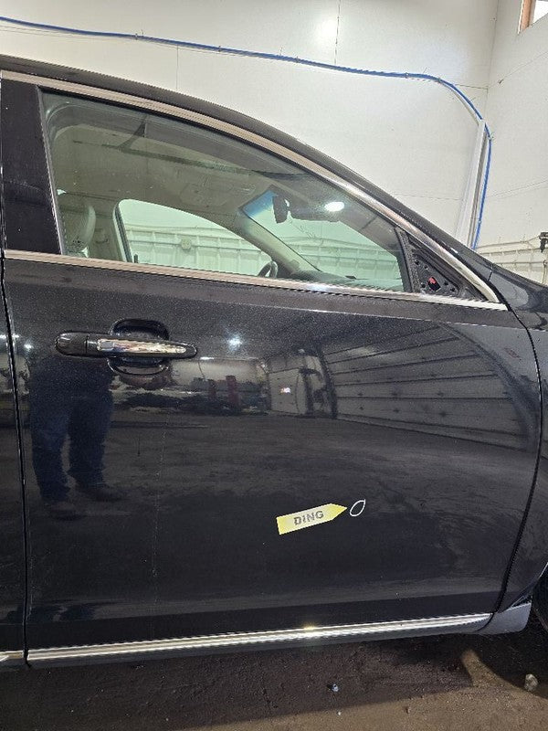 Passenger Front Door Electric Lower Side Moulding Fits 09-16 MKS 63045