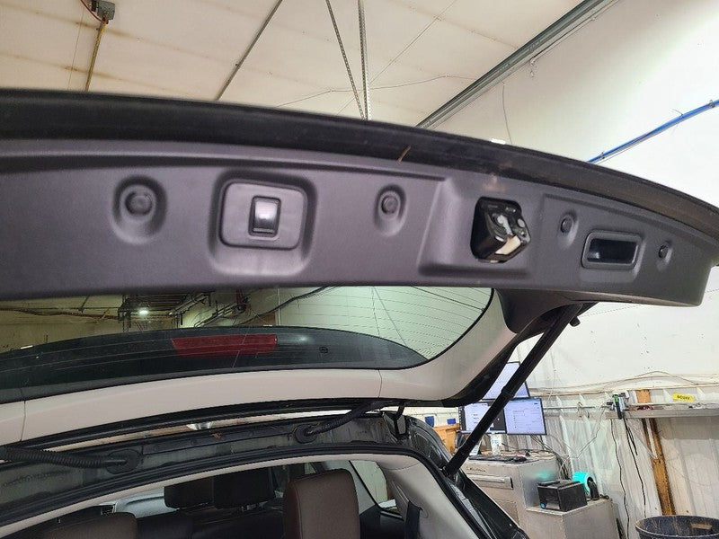 Trunk/Hatch/Tailgate With Surround View Fits 14-15 INFINITI QX60 67519