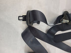 OUTLAN SP 2017 Seat Belt Rear 611141
