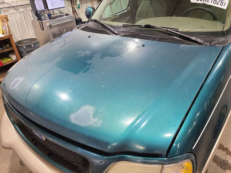 Hood Fits 97-98 EXPEDITION 678716