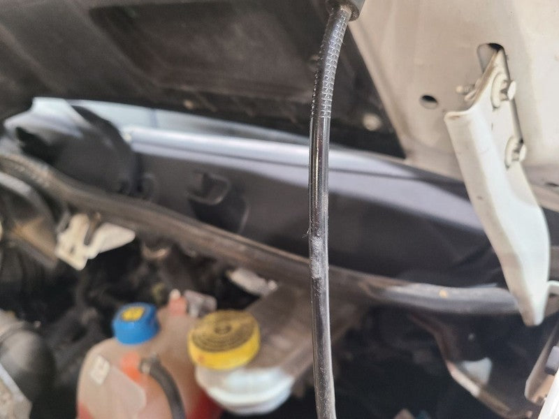 PROMAST15 2019 Cowl 670499