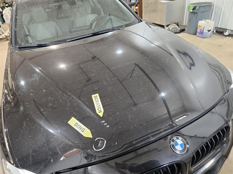 Hood Fits 12-18 BMW 320i 604475