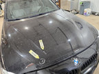 Hood Fits 12-18 BMW 320i 604475