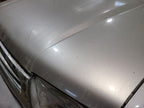 Hood Without Hood Scoop Fits 96-02 4 RUNNER 667868