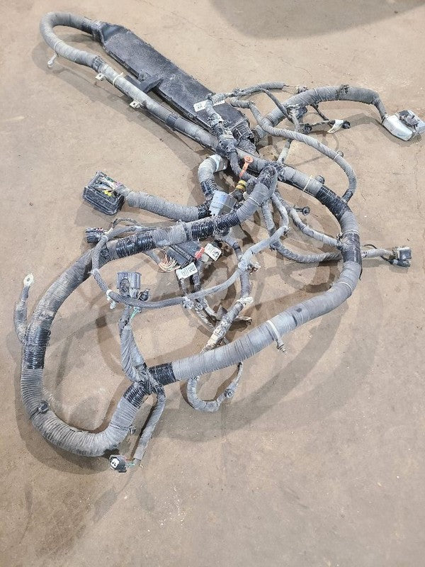 RAM15NEW  2019 Lamp Wiring Harness 660218
