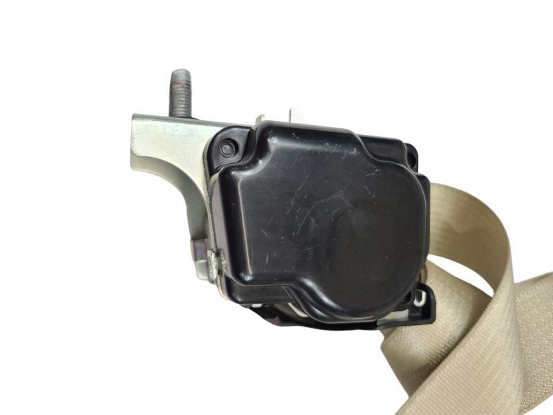 TAURUS    2015 Seat Belt Rear 585603