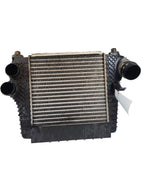 Intercooler 3.5L Turbo Fits 11-12 FORD F150 PICKUP 628335