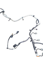 ECOSPORT  2020 Engine Wire Harness 647626