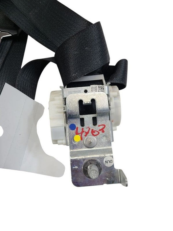 EXPEDITON 2015 Seat Belt Rear 620465