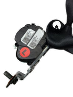 TELLURIDE 2020 Seat Belt Rear 601520