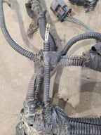 WRANGLER  2000 Engine Wire Harness 672922