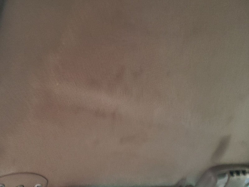 TACOMA    1998 Headliner 673164