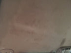 TACOMA    1998 Headliner 673164